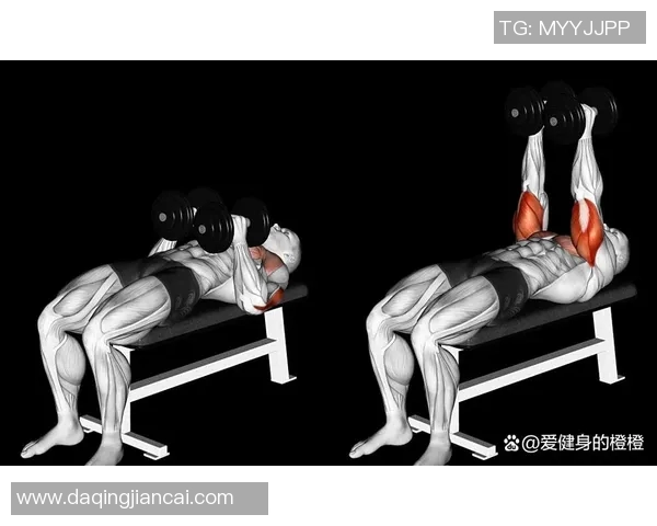 卧推哑铃卧推的全面解析与训练技巧分享助你提升力量与肌肉增长